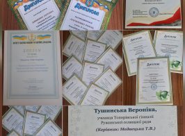Incollage 20260522 225235398